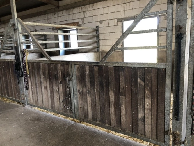 Stallelemente Pferde-Box