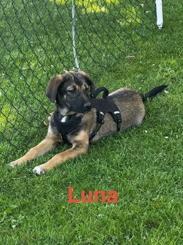 Luna